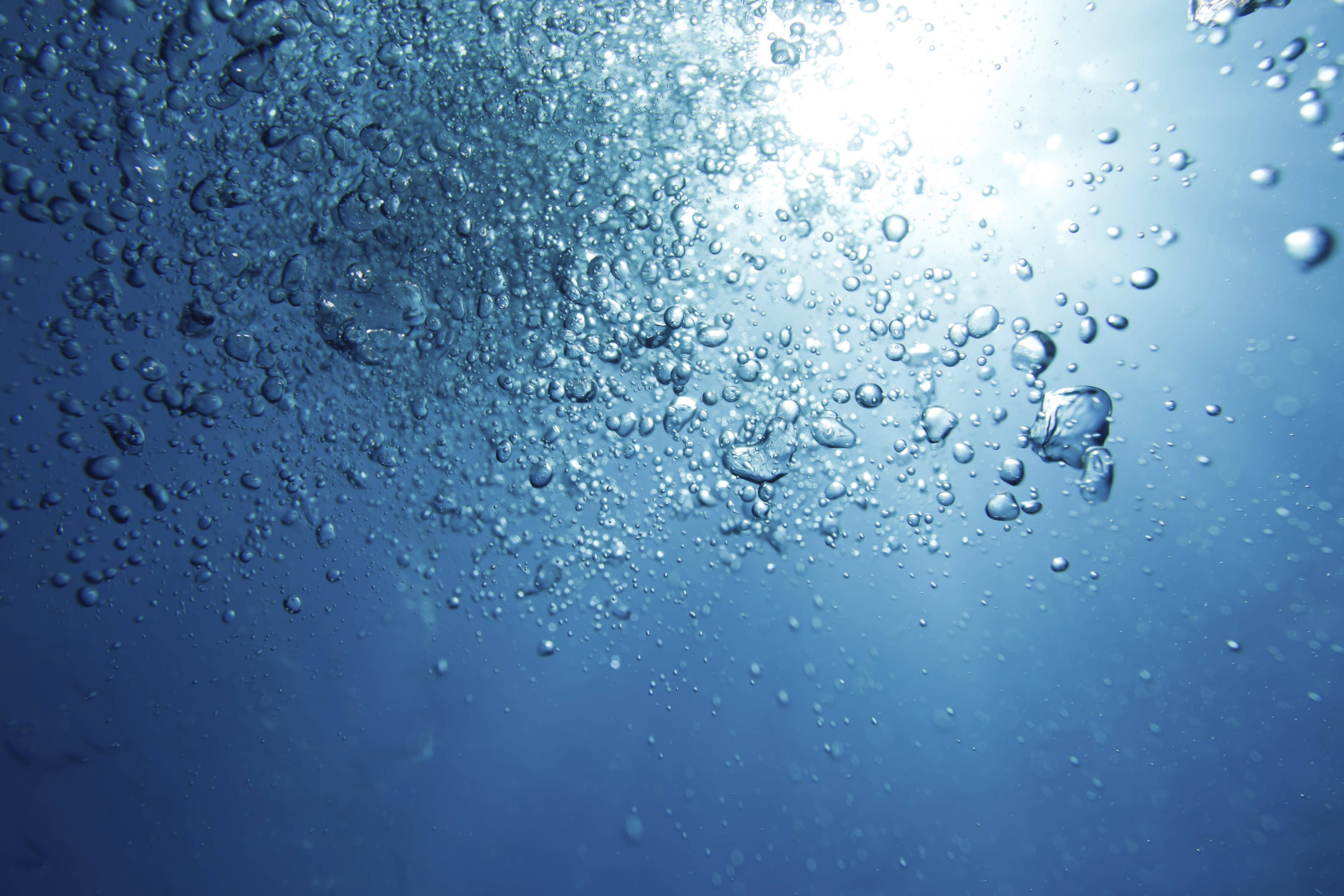 The Role of Water in Maximizing Your Fitness Results — Irvine, Orange & Laguna Hills — Train With Dave